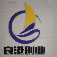 广西良港创业服务有限公司