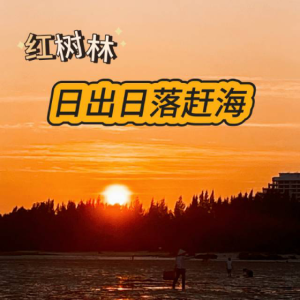 红树林日出日落赶海基地