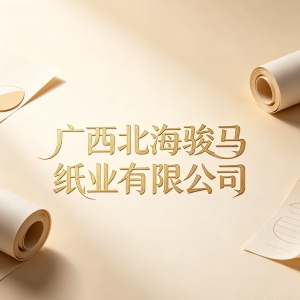 广西北海骏马纸业有限公司