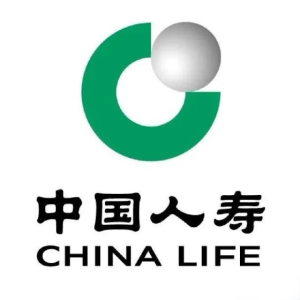 中国人寿保险股份有限公司北海市西南大道支公司