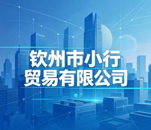 钦州市小行贸易有限公司
