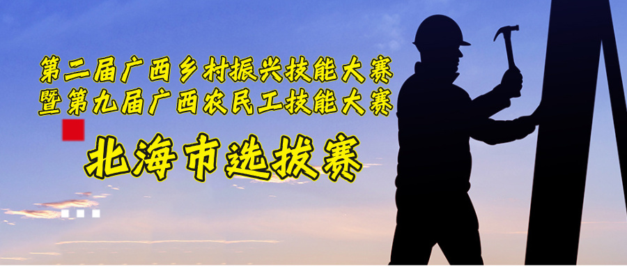 第二届广西乡村振兴技能大赛暨第九届广西农民工技能大赛北海市选