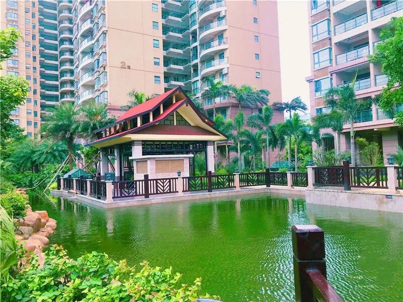 金帝物业服务有