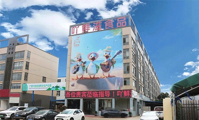 广西吖鲜滋食品